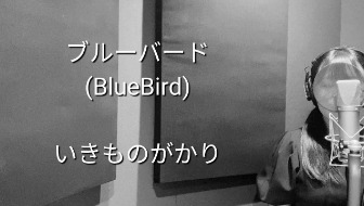 動画サムネイル27