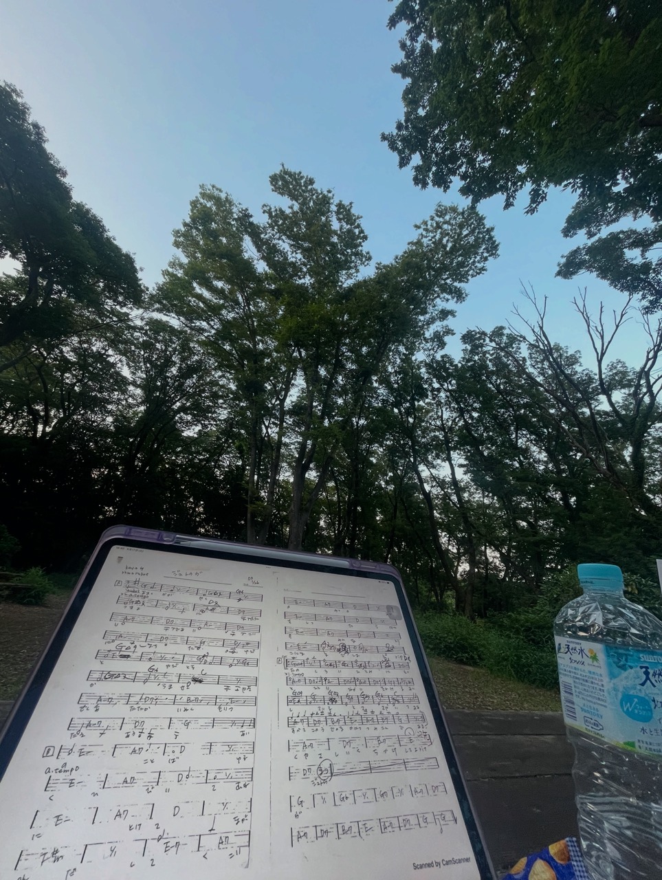 楽譜って読む意味あるの？って思ってるあなたへ
