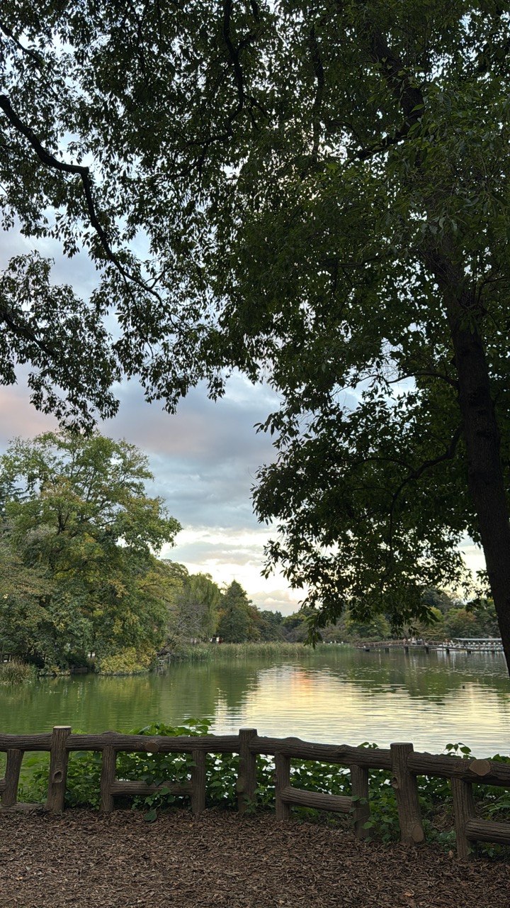 韓日歌王戦の影響