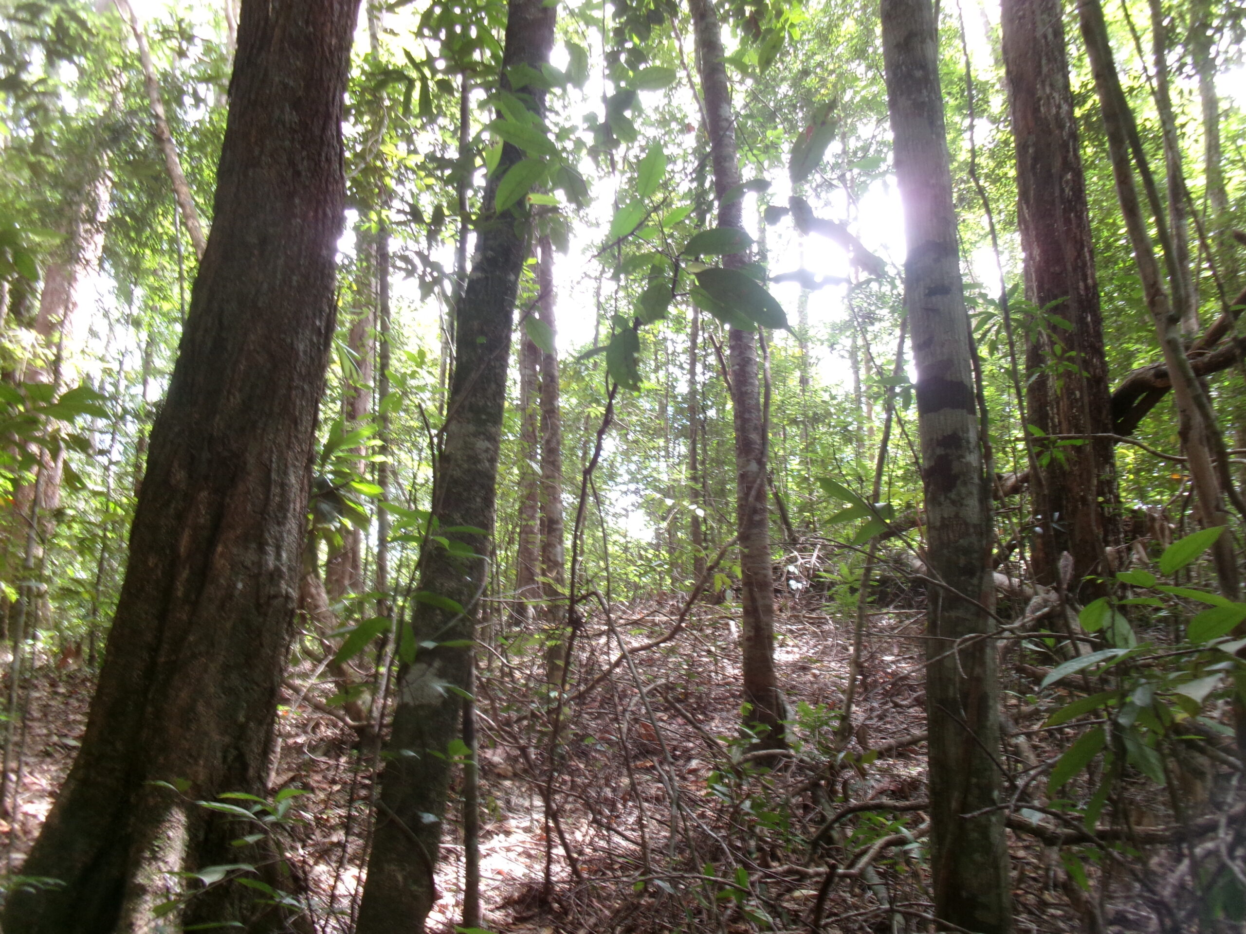 歌詞を自分の感情とリンクする